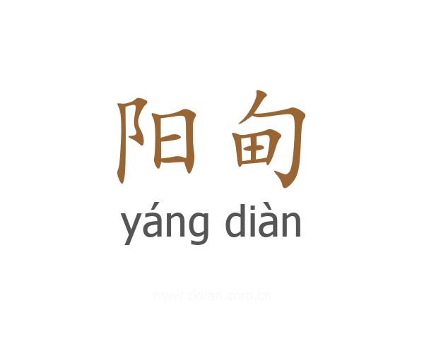 阳甸