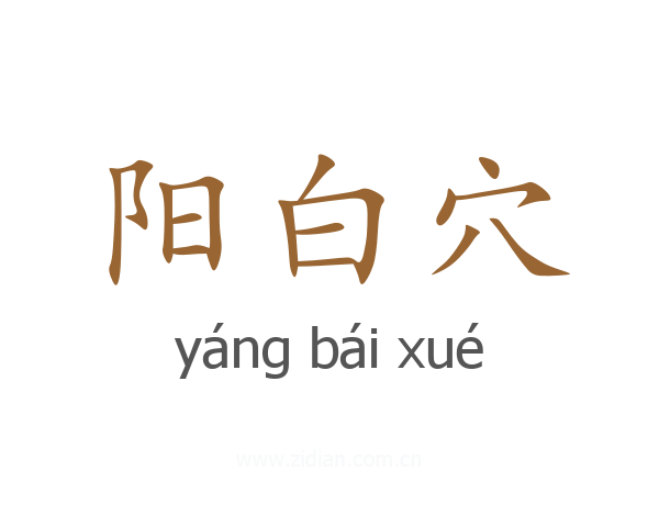 阳白穴