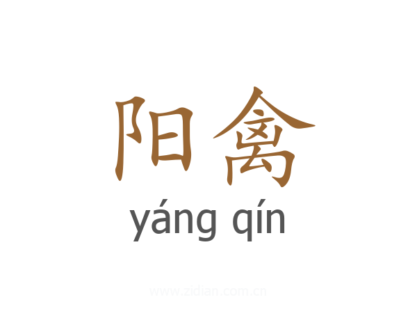 阳禽
