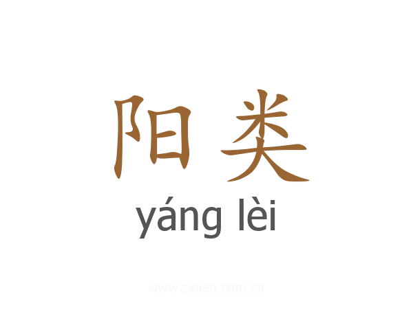 阳类