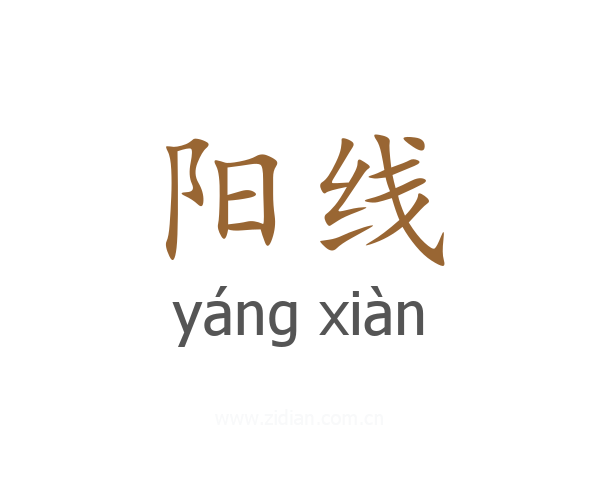 阳线