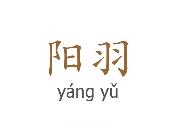 阳羽