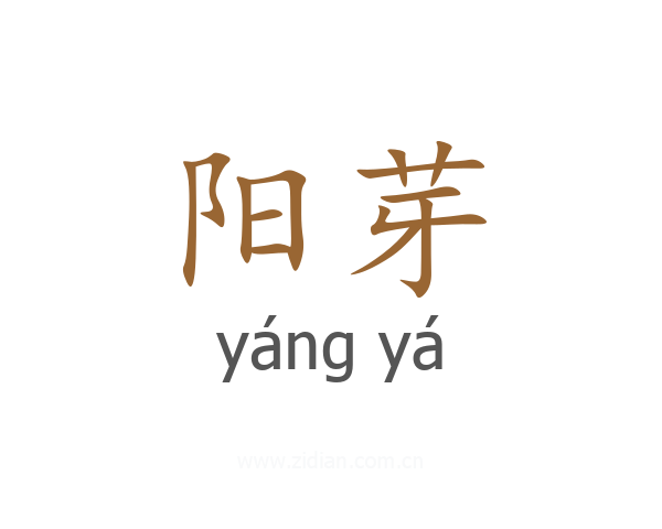 阳芽