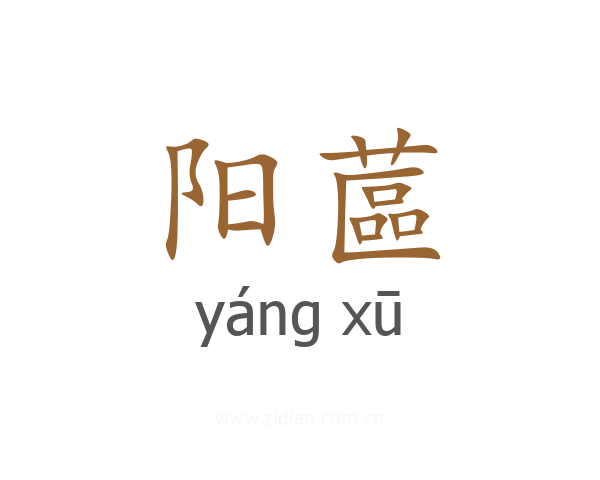 阳蓲