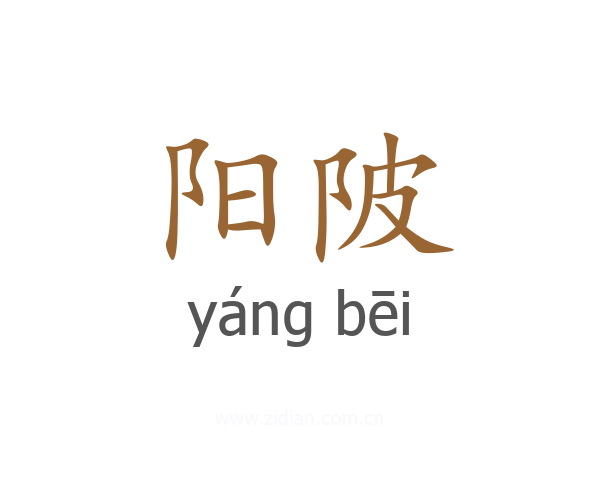 阳陂