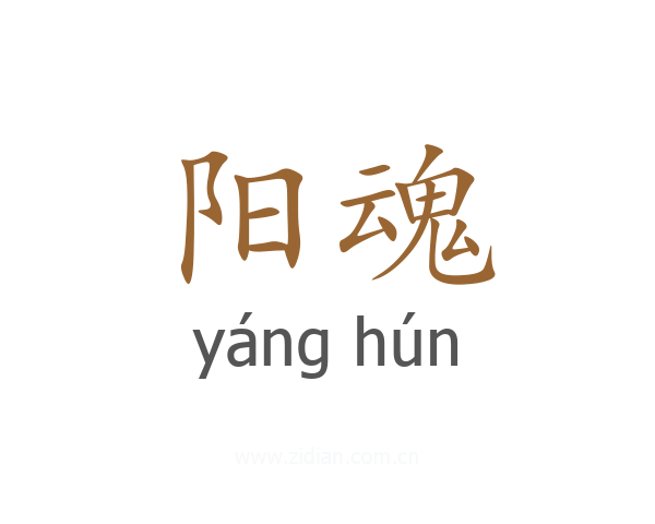阳魂