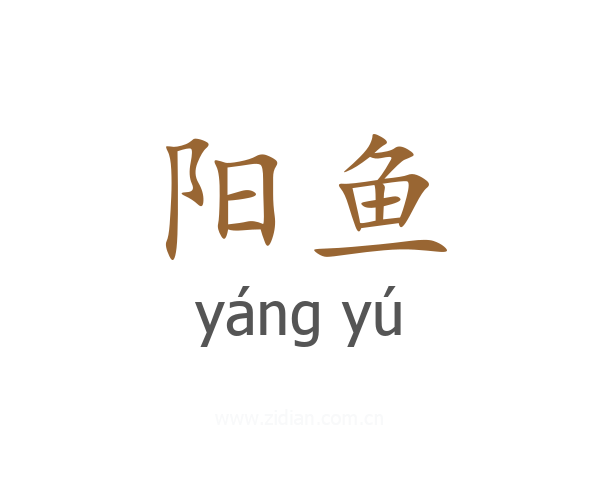 阳鱼