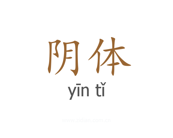 阴体