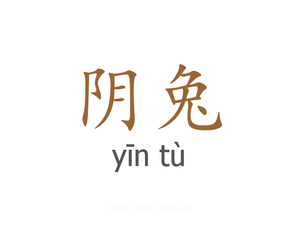 阴兔
