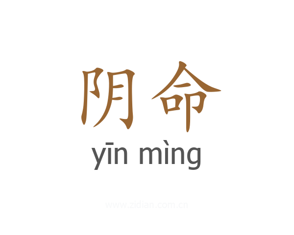 阴命