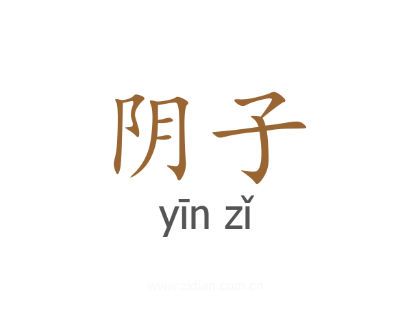 阴子