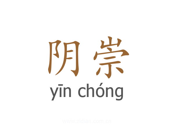 阴崇