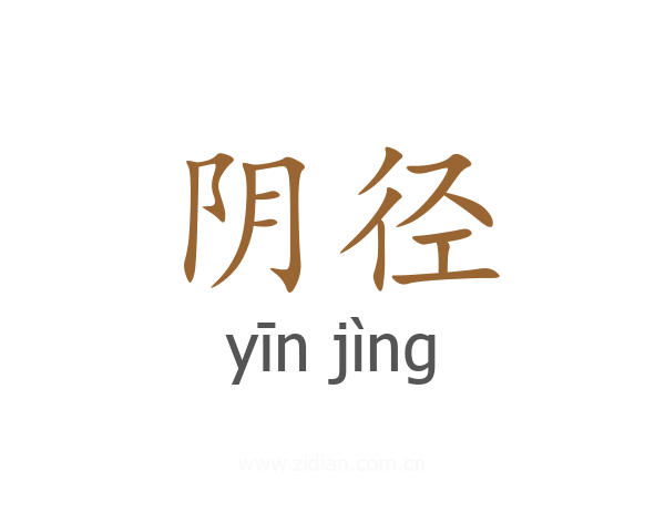 阴径