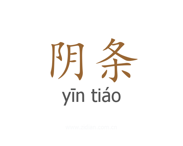 阴条