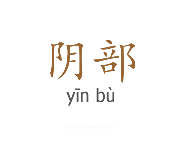 阴部