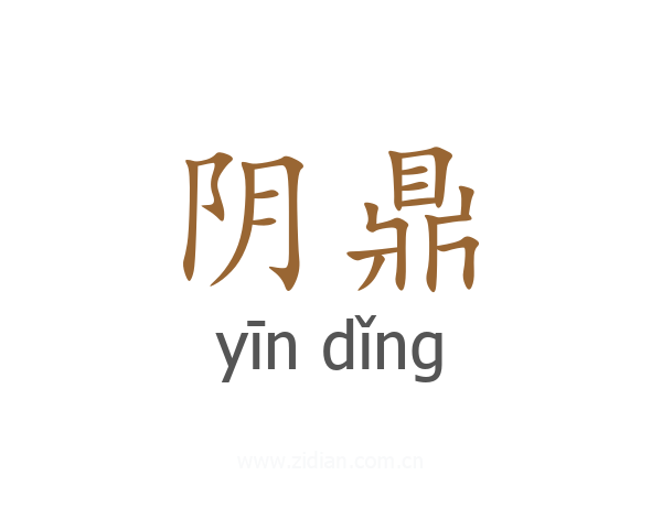 阴鼎