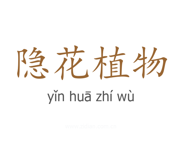 隐花植物