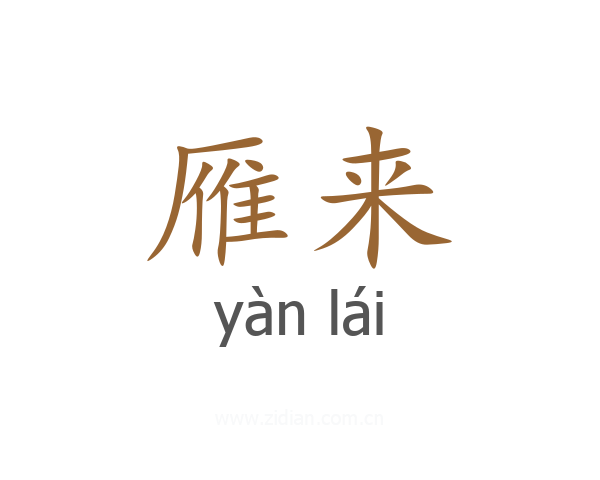 雁来
