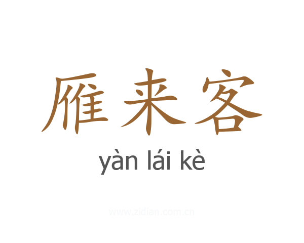 雁来客
