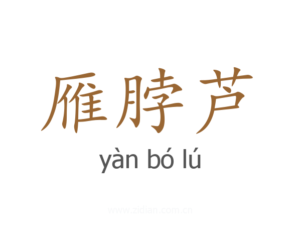 雁脖芦