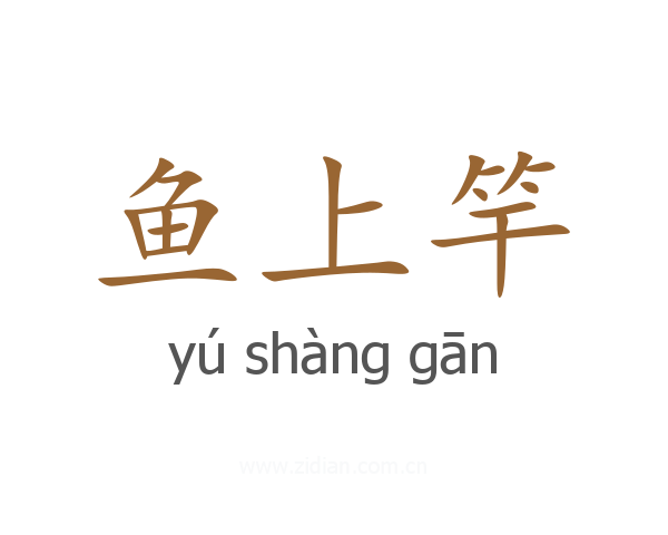 鱼上竿