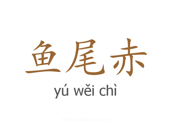 鱼尾赤