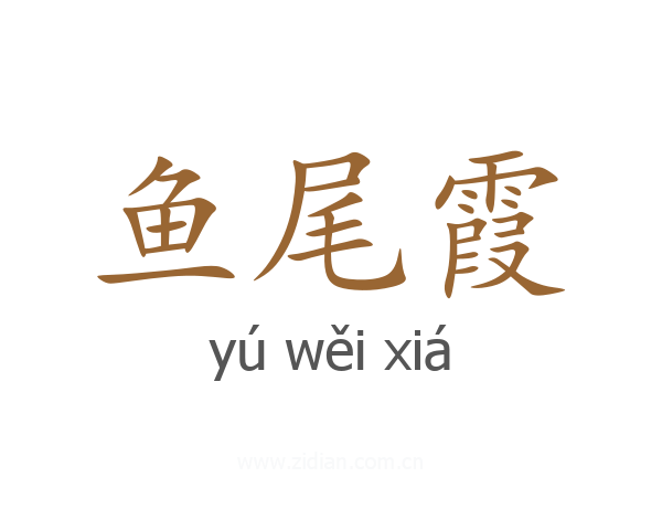 鱼尾霞