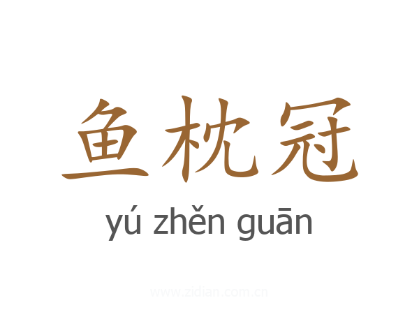 鱼枕冠