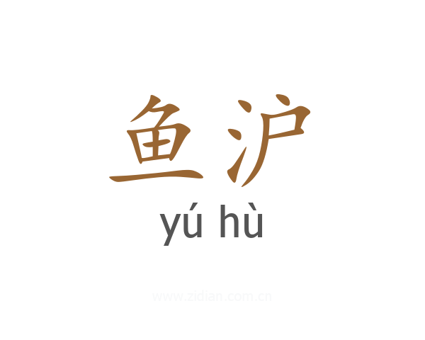 鱼沪