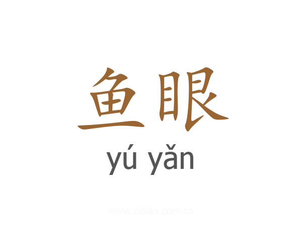 鱼眼