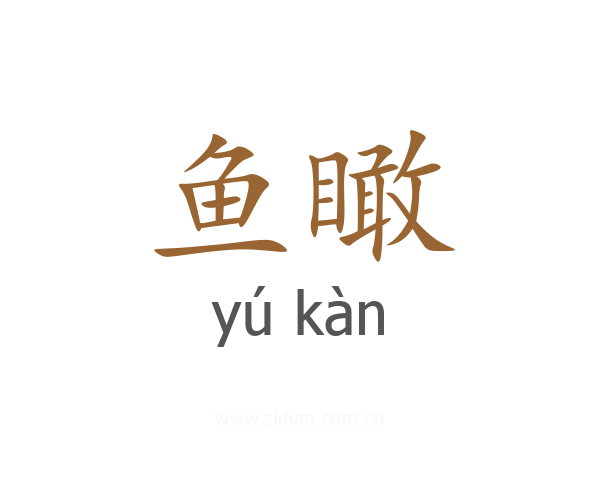 鱼瞰
