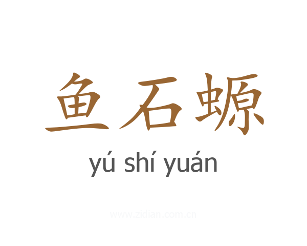 鱼石螈