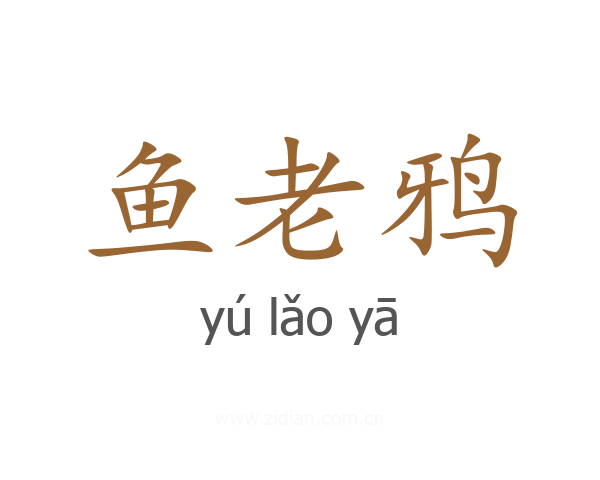 鱼老鸦