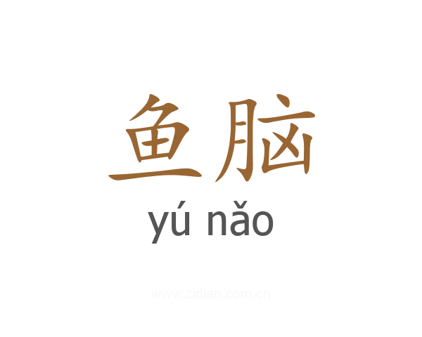 鱼脑