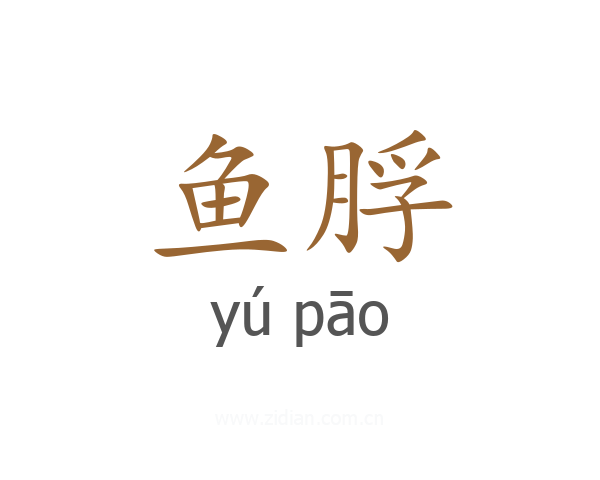 鱼脬
