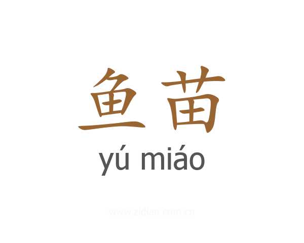 鱼苗