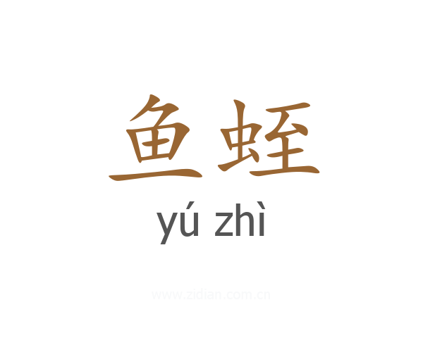 鱼蛭