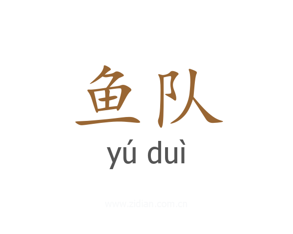 鱼队