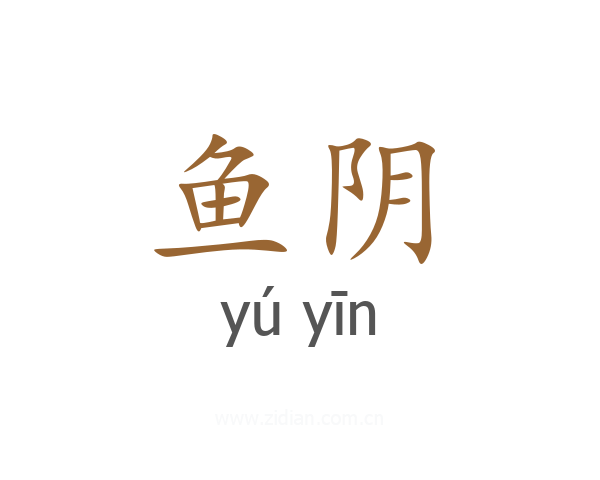 鱼阴
