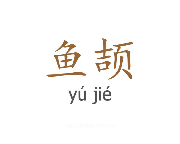 鱼颉