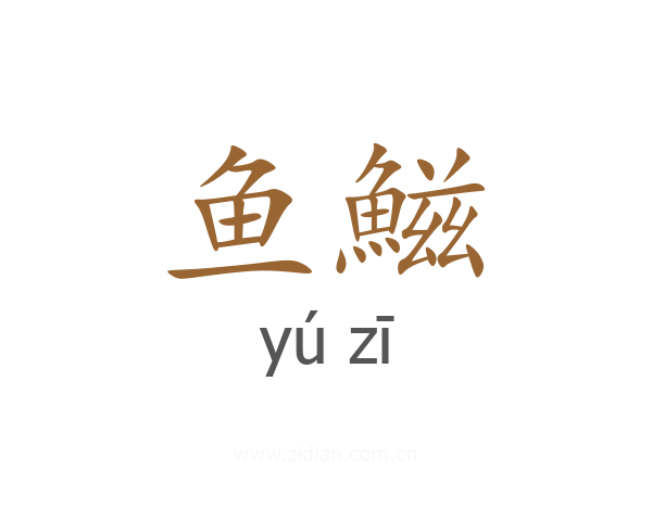鱼鰦