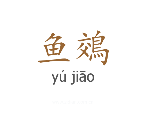 鱼鵁