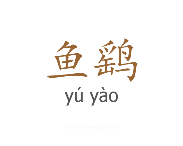 鱼鹞