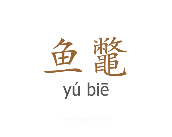 鱼鼈