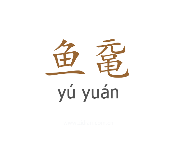 鱼鼋