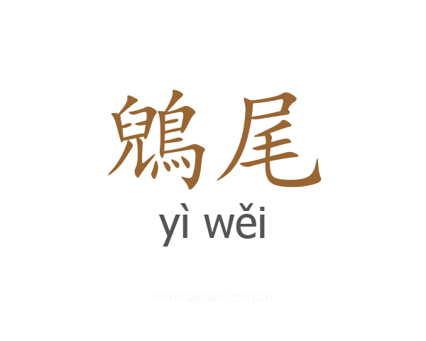 鶂尾