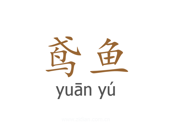 鸢鱼