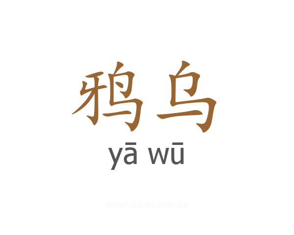 鸦乌