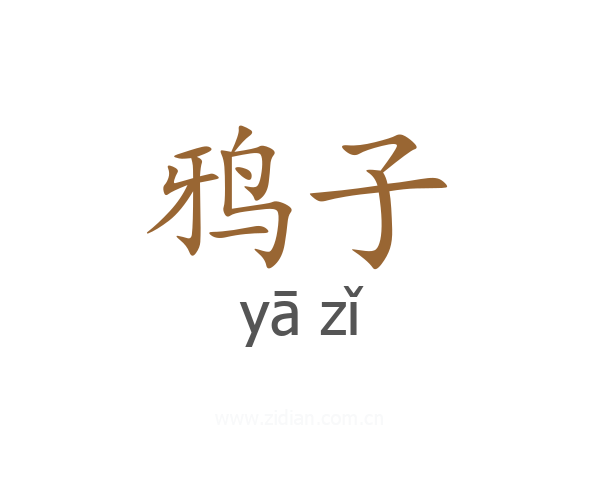 鸦子