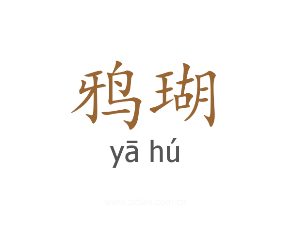 鸦瑚